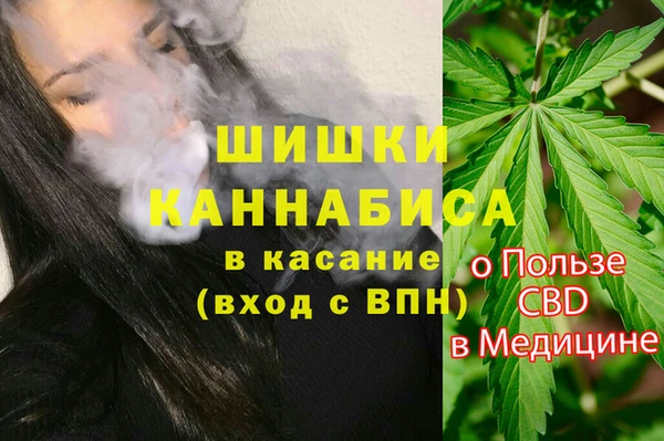 прущие грибы Аркадак