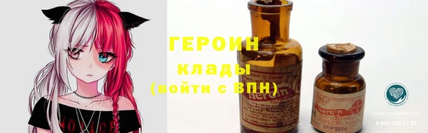прущие грибы Аркадак