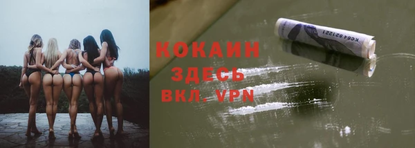 прущие грибы Аркадак