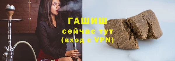 прущие грибы Аркадак