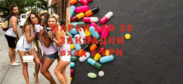 прущие грибы Аркадак