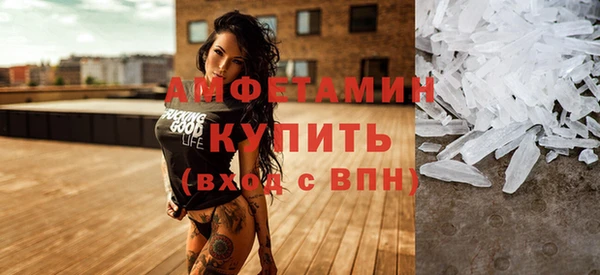 прущие грибы Аркадак