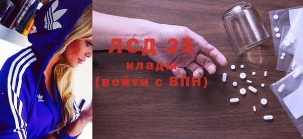 прущие грибы Аркадак